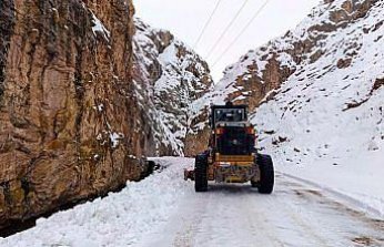 Van'da kırsalda karla mücadele sürüyor