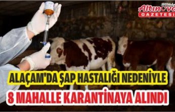ALAÇAM'DA ŞAP HASTALIĞI NEDENİYLE 8 MAHALLE KARANTİNAYA ALINDI