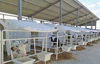 Karmod Polonya'ya buzağı kulübeleri ihraç etti