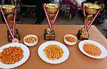 19 Mayıs ilçesinin tarım ürünleri için coğrafi işaret hazırlığı