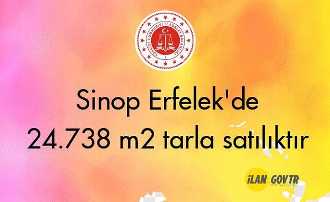 Sinop Erfelek'de 24.738 m² tarla mahkemeden satılıktır