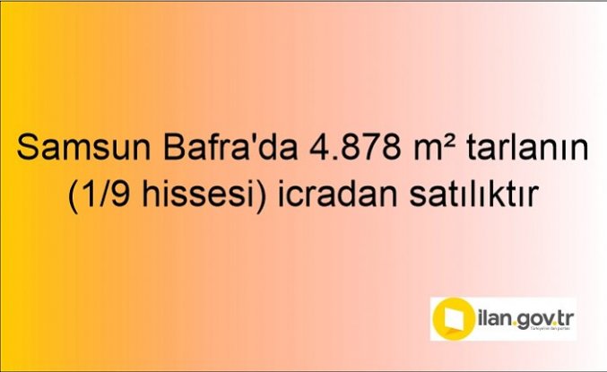 Samsun Bafra'da 4.878 m² tarlanın (1/9 hissesi) icradan satılıktır