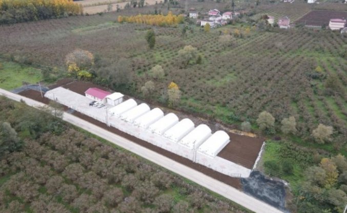 Terme Belediyesinin hayata geçirildiği mantar üretim tesisi tamamlandı