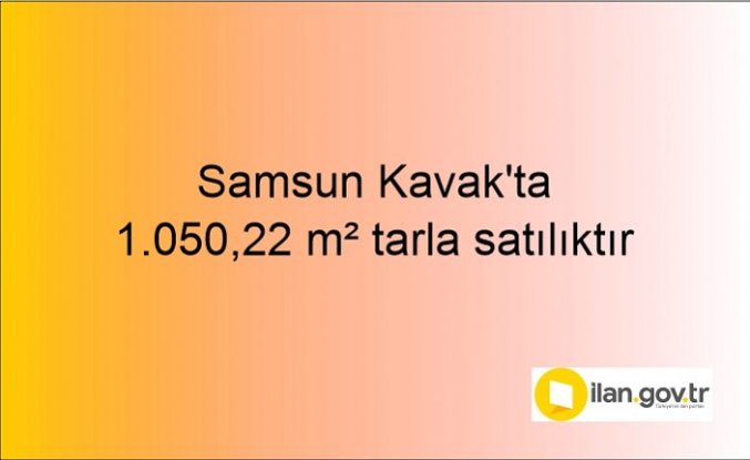 Samsun Kavak'ta 1.050,22 m² tarla icradan satılıktır