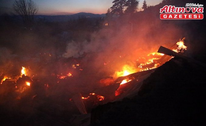 Kastamonu'da çıkan yangında 3 ev kullanılamaz hale geldi, 50 hayvan telef oldu