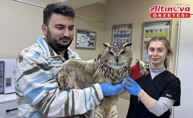 Artvin'de yaralı puhu tedaviye alındı