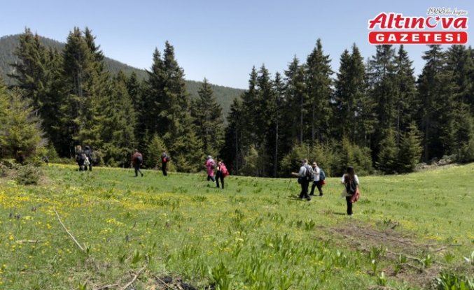 Gümüşhane'de doğaseverler yaylalara ilgi gösterdi