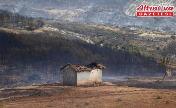 Tekirdağ'daki orman yangınına havadan ve karadan yoğun müdahale sürüyor