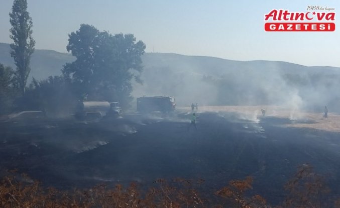 Tokat'ta çıkan anız yangınında yaklaşık 5 dönüm alan zarar gördü