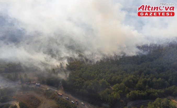 Bolu'da çıkan orman yangınına müdahale ediliyor