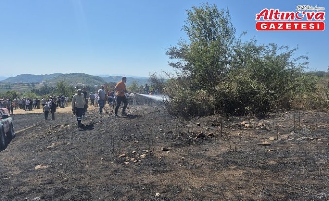 Düzce'de çalılık alanda çıkan yangın söndürüldü