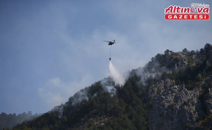 Sinop'ta çıkan orman yangınına müdahale ediliyor