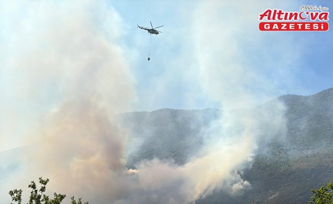 Bartın'da ormanlık alanda çıkan yangına müdahale ediliyor