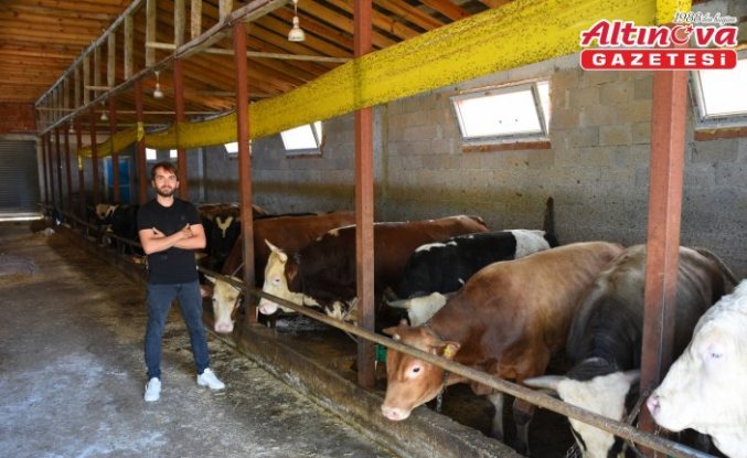 Eski hükümlü İŞKUR hibesiyle aldığı 5 inekle hayatında yeni bir sayfa açtı