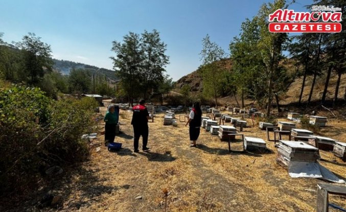 Göynücek’te arılı kovan tespitleri yapıldı