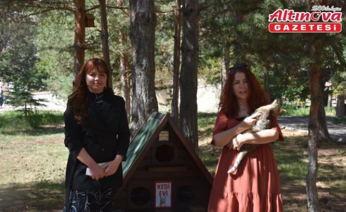 Gümüşhane Üniversitesi'nde “Kedi Evleri“ kuruldu
