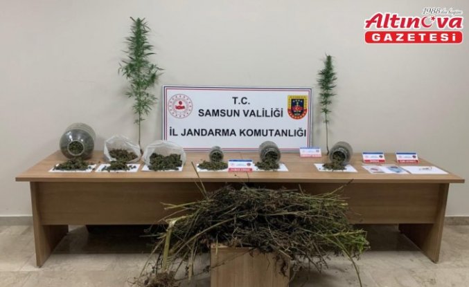 Samsun'da uyuşturucu operasyonunda 1 şüpheli yakalandı