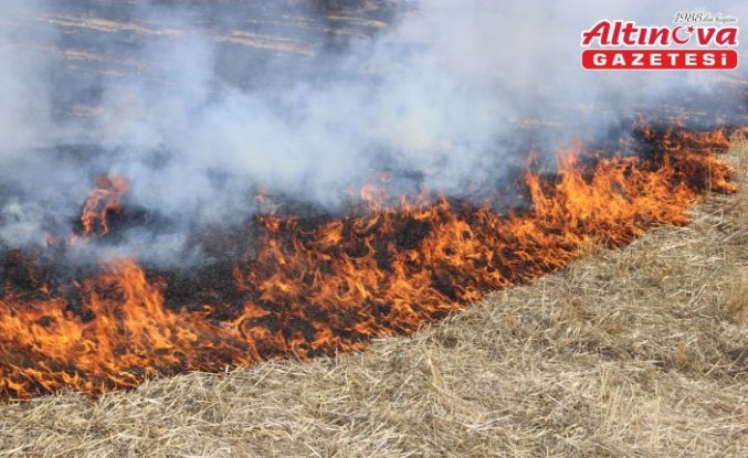 Amasya'da çıkan anız yangını söndürüldü