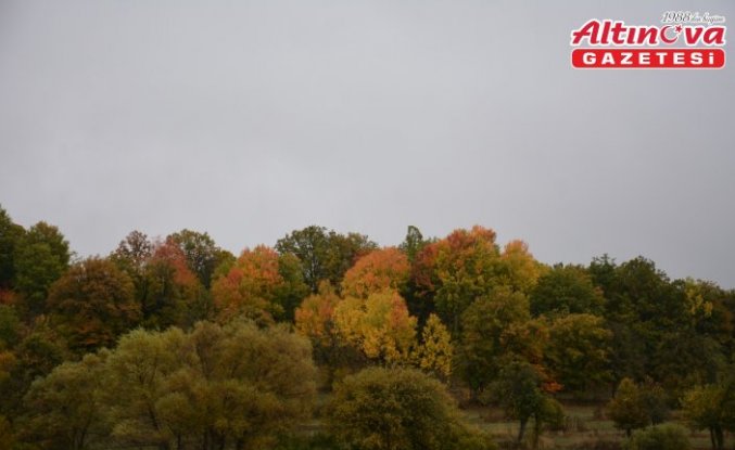 Başçiftlik'te sonbahar renkleri fotoğraflandı