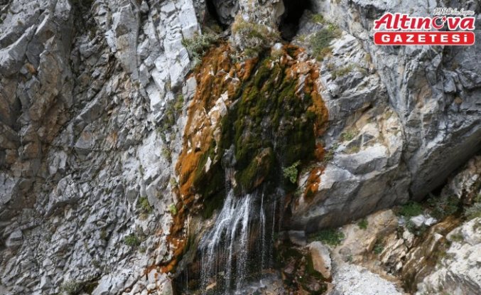 Önemli barajlarında su kalmayan Bursa'nın Uludağ'daki pınarları da alarm veriyor