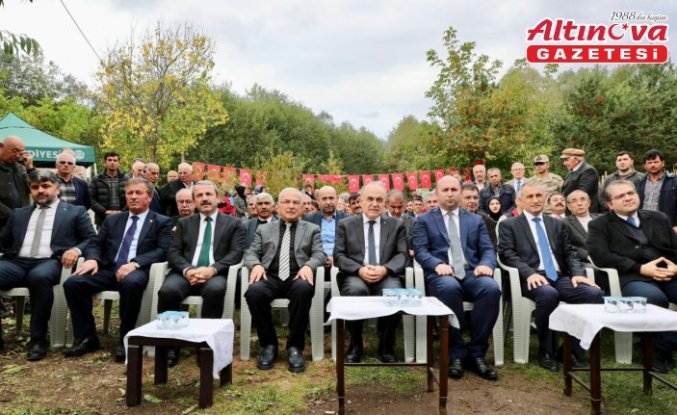 Ordu'da tescilli Akkuş şeker fasulyesinin hasadına başlandı