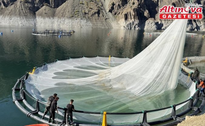 Artvin'den 67 ülkeye Türk somonu ihraç edildi