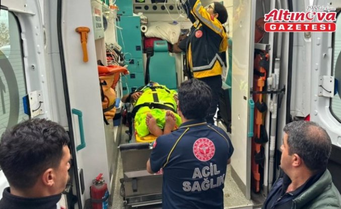 Kastamonu'da mantar toplarken ayı saldırısına uğrayan köy imamı yaralandı