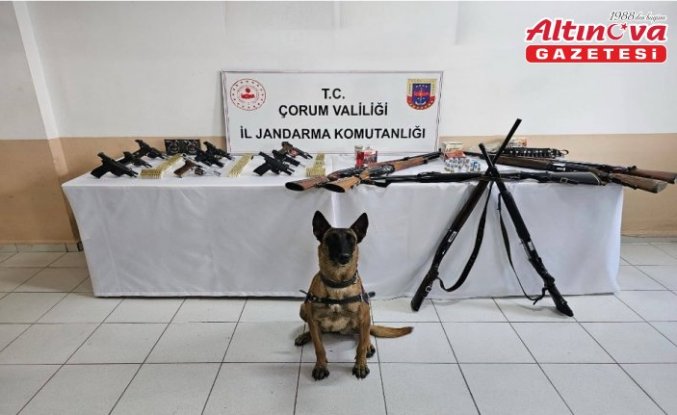 Çorum'da düğünlerde havaya ateş ettikleri belirlenen 11 kişi yakalandı