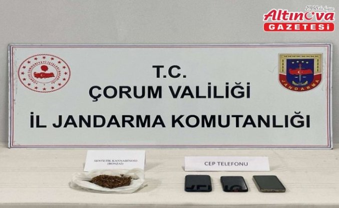 Çorum'da uyuşturucu bitki yetiştiren 4 kişi yakalandı