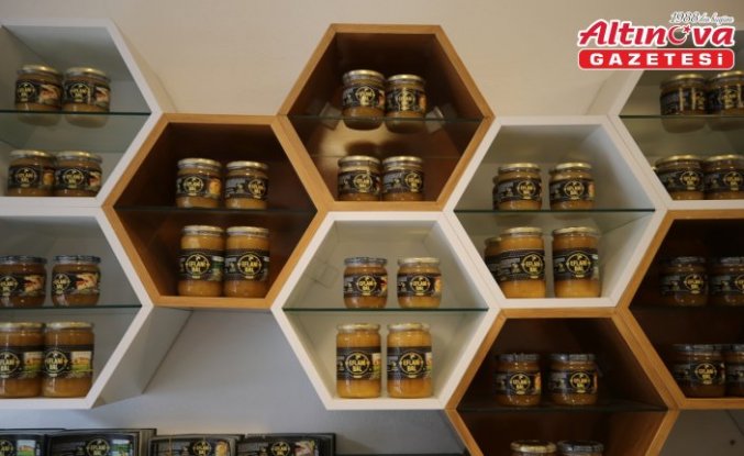 Karabük'te gençlerin ve kadınların istihdamını hedefleyen arıcılık projesi tamamlandı