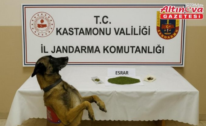Kastamonu'da düzenlenen uyuşturucu operasyonunda yakalanan 2 kişiden 1'i tutuklandı