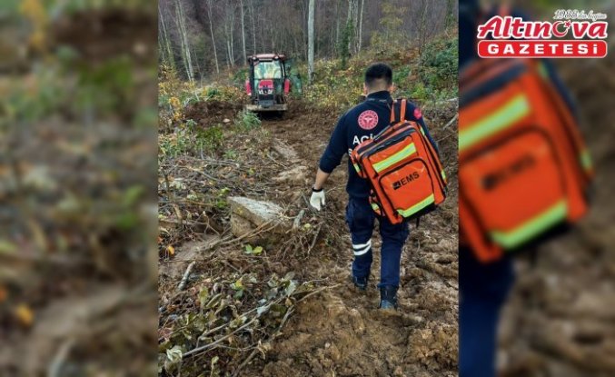 Kastamonu'da tomruk altında kalan orman işçisi yaralandı