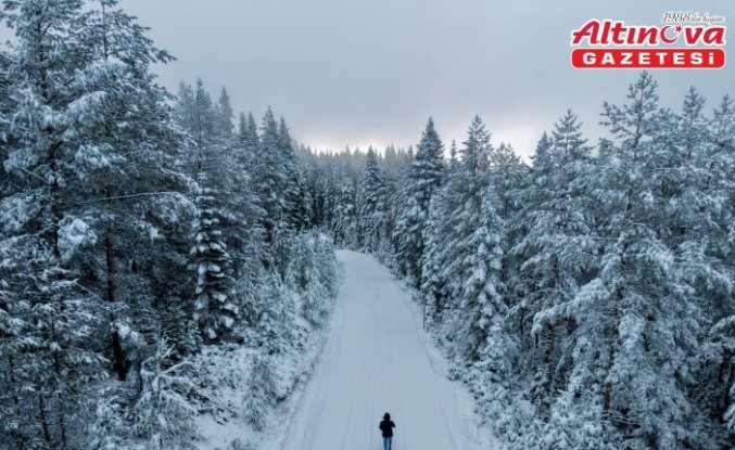 Kastamonu'nun yüksek kesimleri kar yağışının ardından beyaza büründü