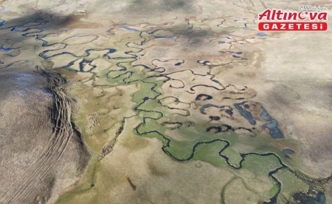 Ordu'daki Perşembe Yaylası 1,3 milyon ziyaretçiyi ağırladı