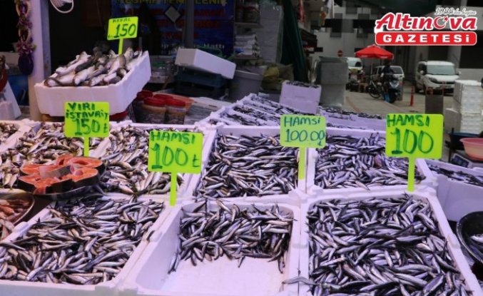 Rize'de hamsinin kilogramı 100 liradan satılıyor
