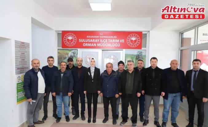 Sulusaray'da çiftçilere nohut tohumu dağıtıldı