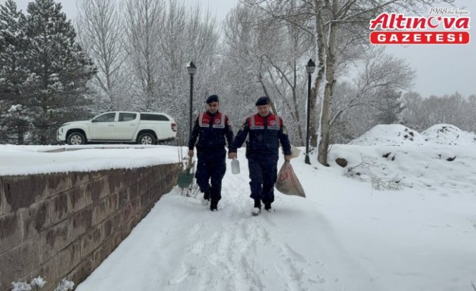 Yozgat'ta jandarma ekipleri yaban hayvanları için doğaya yem bıraktı
