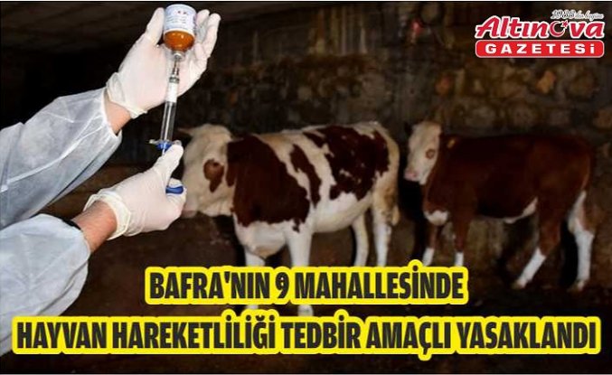 Bafra'nın 9 mahallesinde hayvan hareketliliği tedbir amaçlı yasaklandı