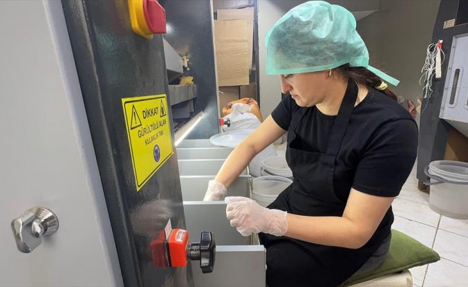 Giresunlu kadın girişimci devlet desteğiyle fındık işleme tesisi kurdu