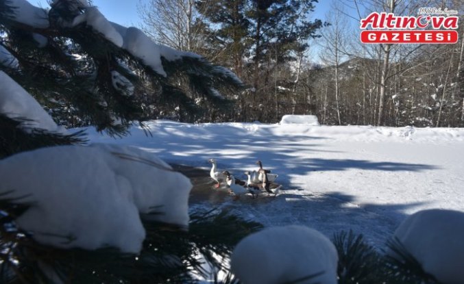 Gümüşhane, Rize ve Giresun'da 99 köye ulaşım sağlanamıyor