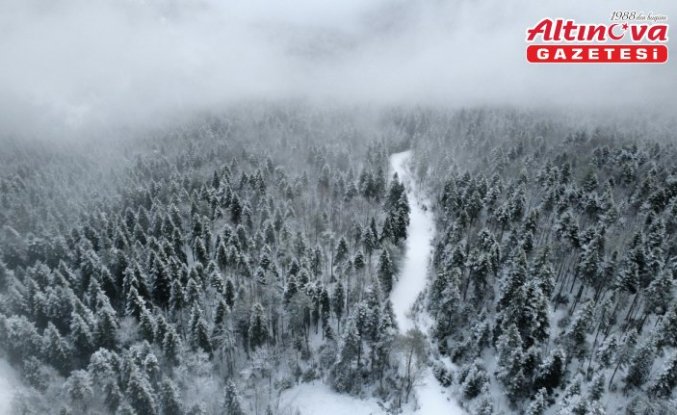 Karabük, Kocaeli ve Zonguldak'ta kar yağışı etkili oluyor