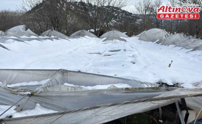Karabük'te kar yağışı nedeniyle çöken seralardaki ürünler zarar gördü