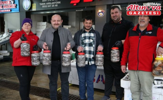 Karadeniz'de hamsi salamurası zamanı