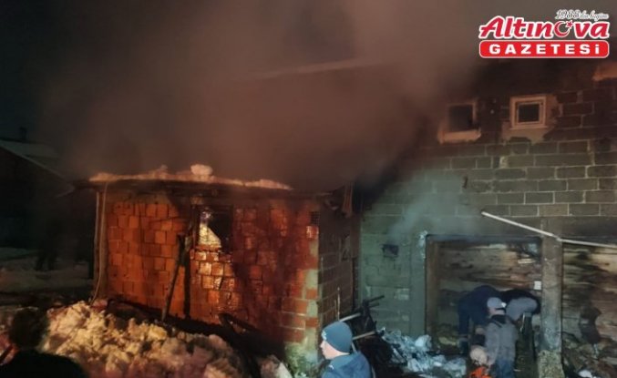 Kastamonu'da çıkan yangında büyükbaş hayvan telef oldu