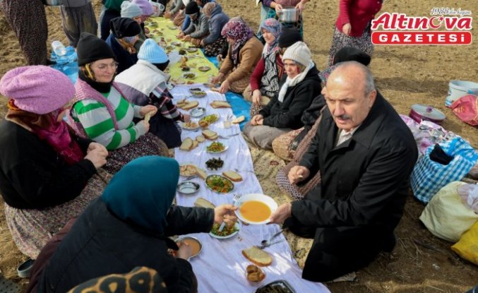 Taşköprü Belediye Başkanı Arslan'dan sarımsak tarlasında çalışan işçilere ziyaret