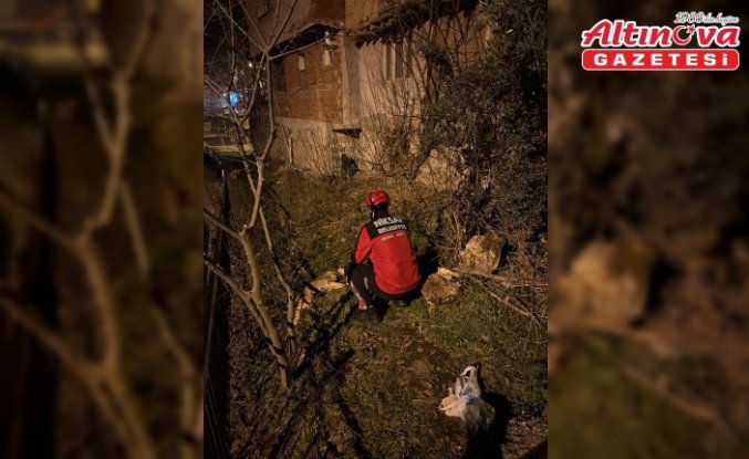 Tokat'ta korkuluklara sıkışan köpek itfaiyece kurtarıldı