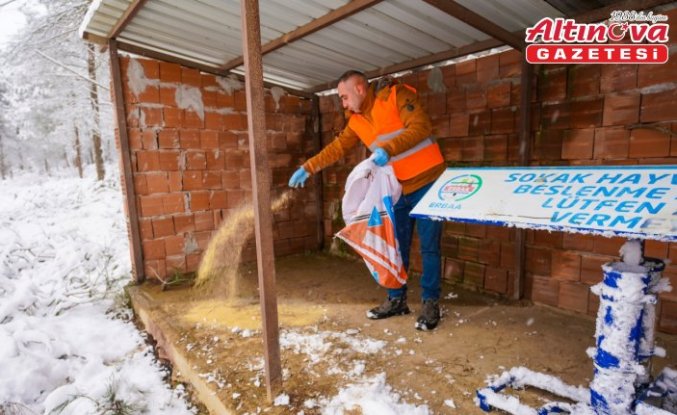 Tokat'ta yaban ve sokak hayvanları için doğaya yem bırakıldı
