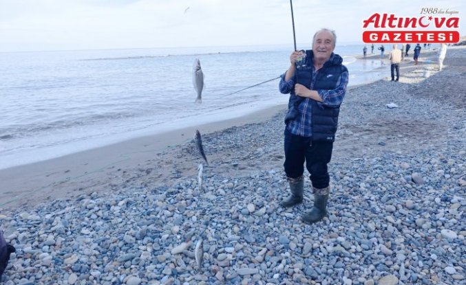 Yakakent'te kafesten kaçan balıklar amatör balıkçıların yüzünü güldürdü