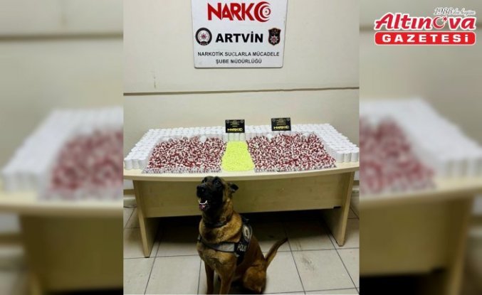 Artvin'de uyuşturucu operasyonunda 1 şüpheli gözaltına alındı