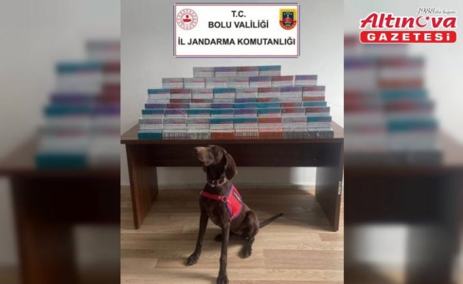 Bolu'da asayiş